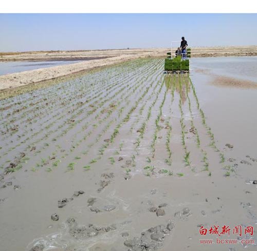 365赌网app官网_365bet论坛_beat365官方入口气候的形成