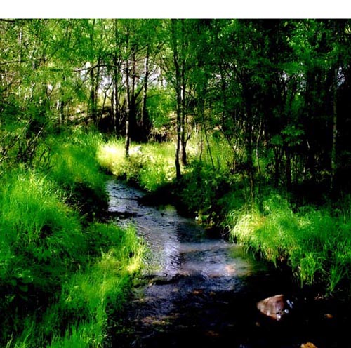 流经365赌网app官网_365bet论坛_beat365官方入口的一江两河