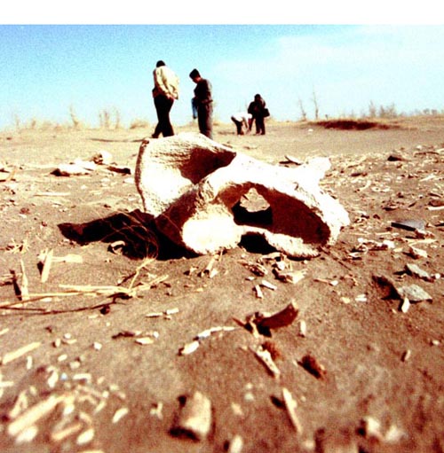 365赌网app官网_365bet论坛_beat365官方入口的新石器时期遗址