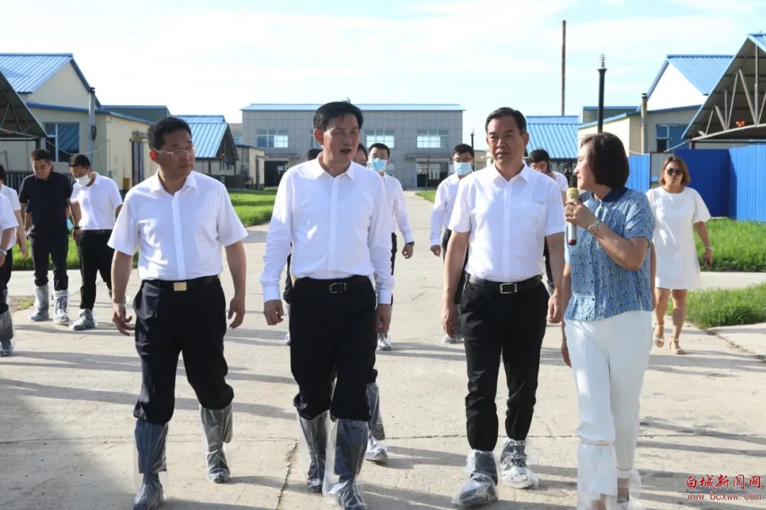 张志军带队来白考察对接 深化项