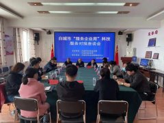 科技之翼助力高质量发展