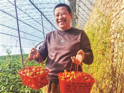 水果大棚忙 市场前景广